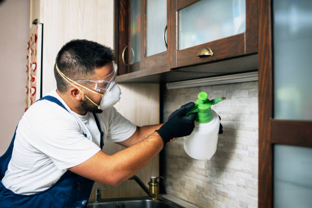 Best Pest Inspection Near Me  in Adelanto, CA
