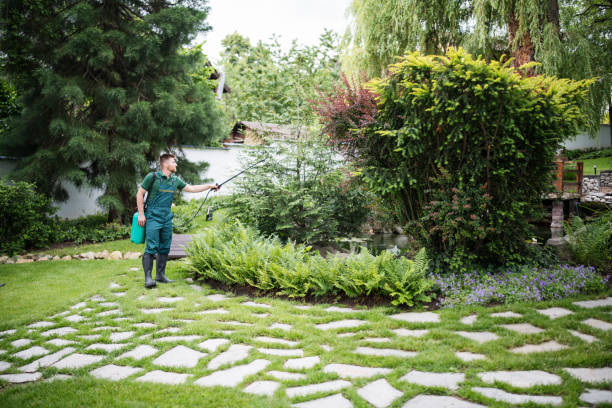 Wasp Removal Services in Adelanto, CA
