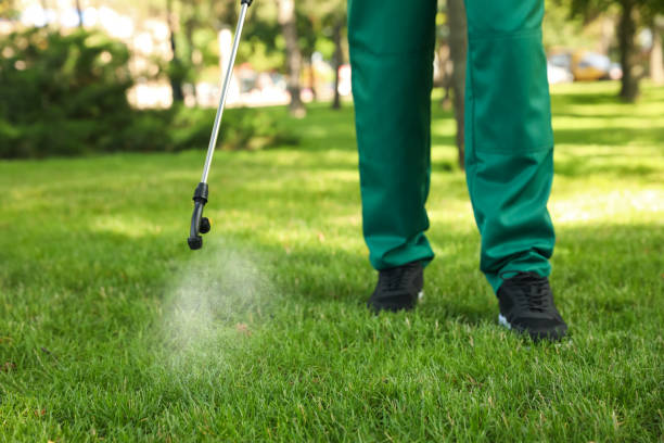 Best Best Pest Control Companies  in Adelanto, CA