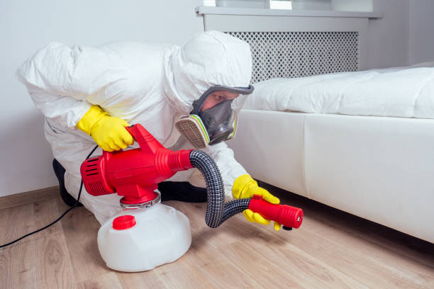 Best Pest Control Treatment  in Adelanto, CA