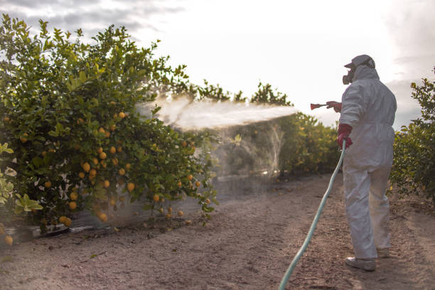 Pest Control Cost in Adelanto, CA