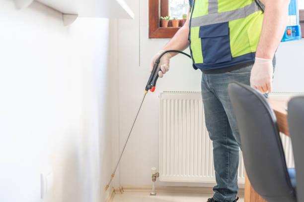 Wasp Removal Services in Adelanto, CA
