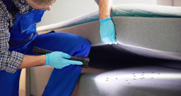 Best Exterminator Services  in Adelanto, CA