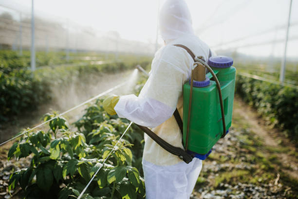 Flea Control Services in Adelanto, CA